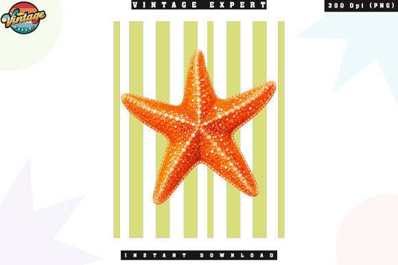 Coastal Starfish Beach Aesthetic PNG – Creative Design for Ocean-Inspired Projects