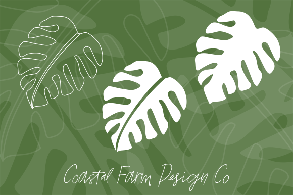 Embracing the Tropical Monstera Deliciosa Leaf in Modern Design and Lifestyle